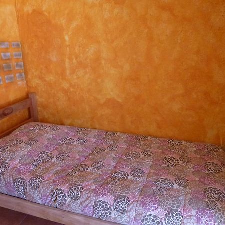 Hostel El Toconar 圣佩德罗·德·阿塔卡马 外观 照片