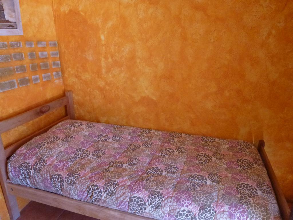 Hostel El Toconar 圣佩德罗·德·阿塔卡马 外观 照片