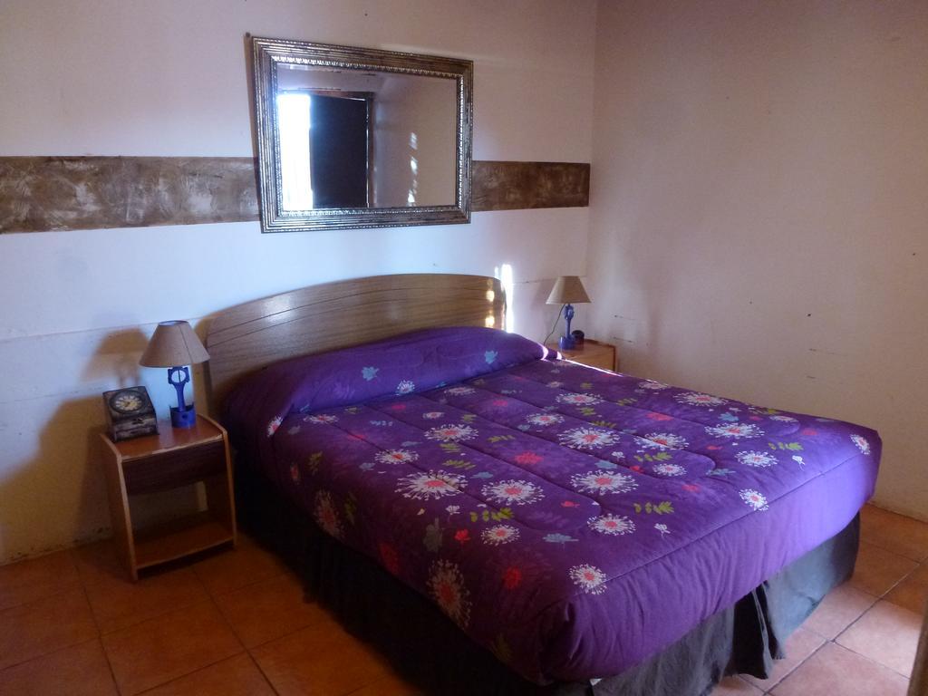 Hostel El Toconar 圣佩德罗·德·阿塔卡马 外观 照片